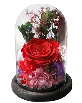 Preserved Rose