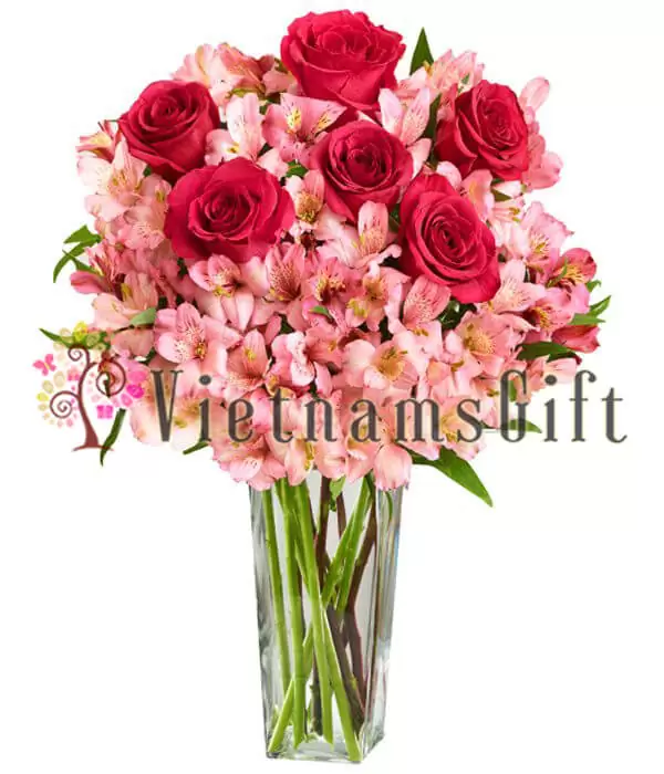 Spiritual Gifts