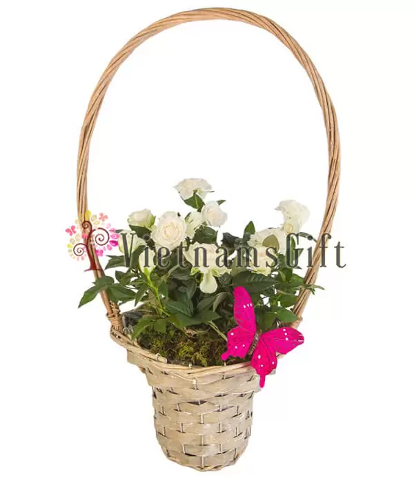 One Dozen Roses In Basket