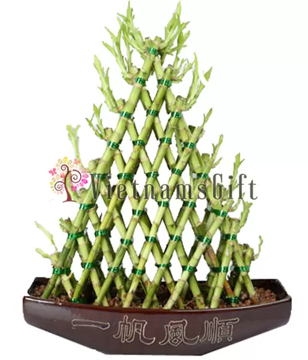 Bamboo Tree