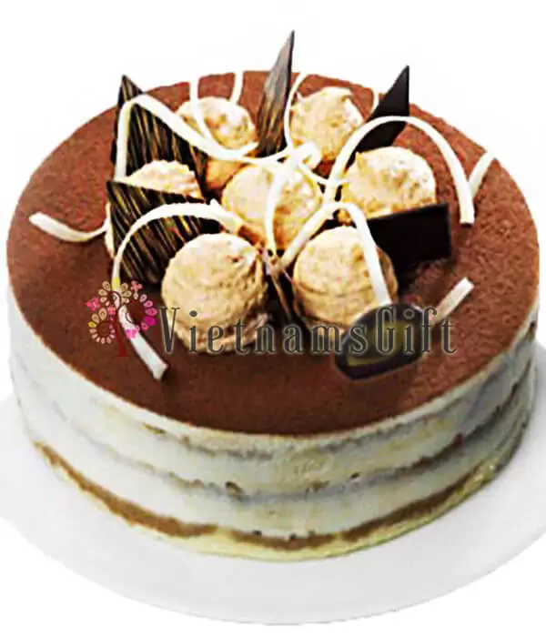 Creamy Tiramisu Cake