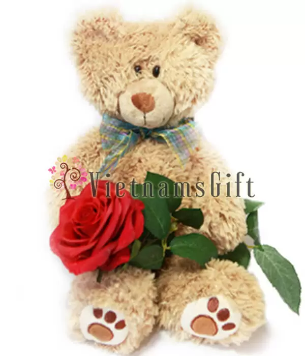 Combo Gift