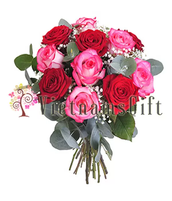 A Bouquet of One Dozen Roses