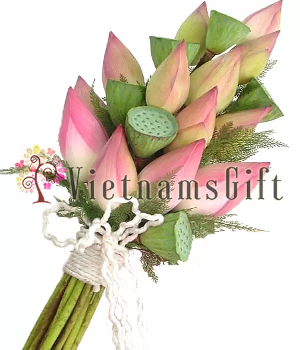 Lotus Arrangement