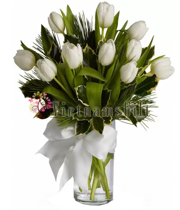 Cutie White