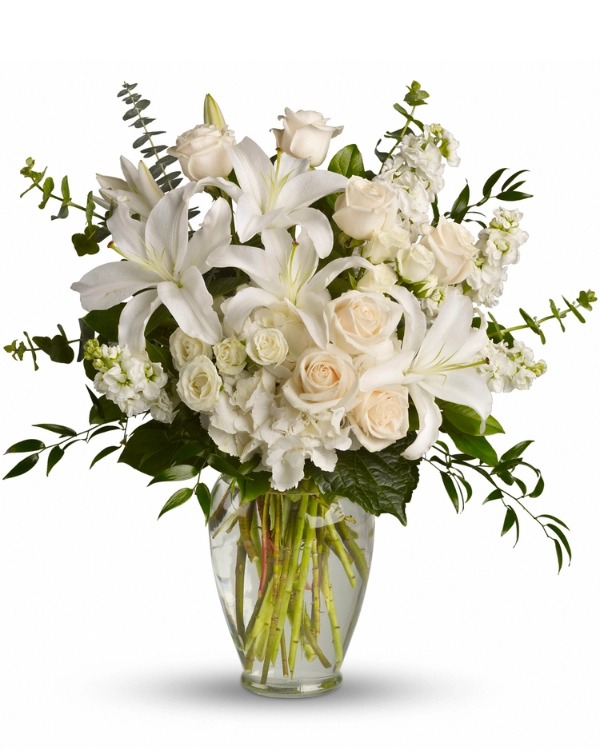 Dear Lilies
