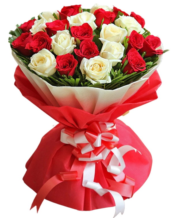 Lovely Gentle